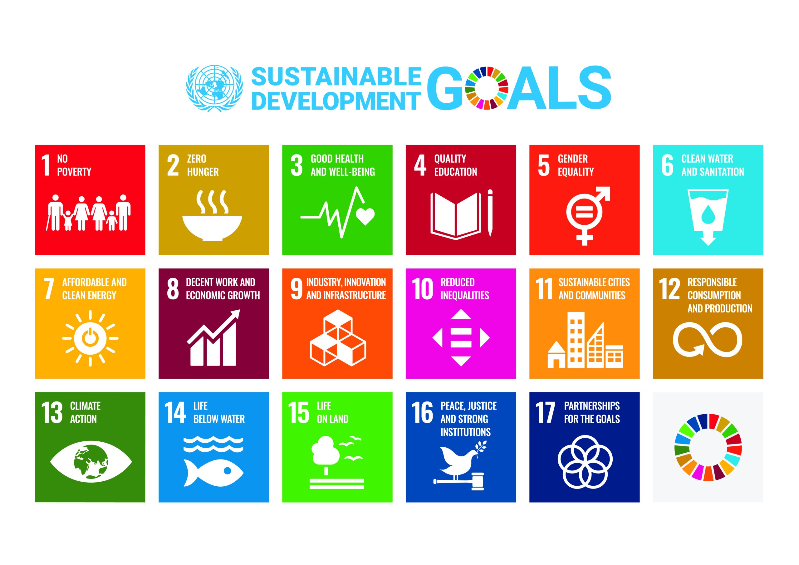 The UN Sustainable Development Goals